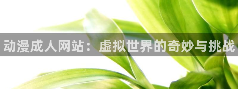 囧次元app正版下载官网：动漫成人网站：虚拟世界的奇妙与挑战