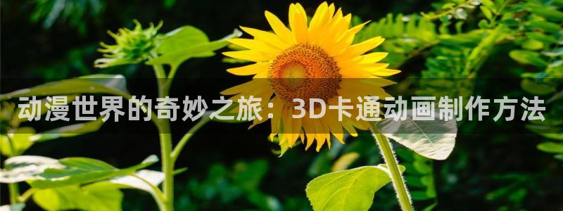 囧次元网址：动漫世界的奇妙之旅：3D卡通动画制作方法
