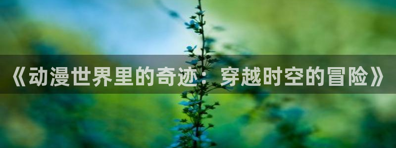 囧次元动漫app正版：《动漫世界里的奇迹：穿越时空的冒险》