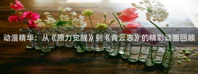 囧次元最新版下载：动漫精华：从《原力觉醒》到《青云志》的精彩动画回顾