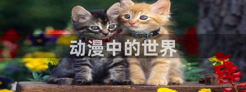 囧次元官方网页版入口：动漫中的世界