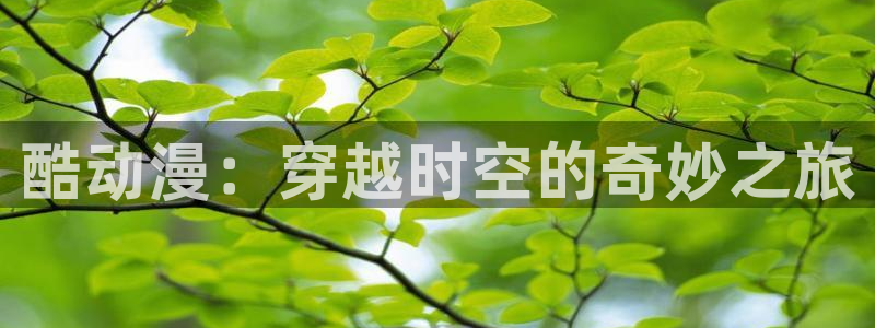 囧次元官网官网：酷动漫：穿越时空的奇妙之旅
