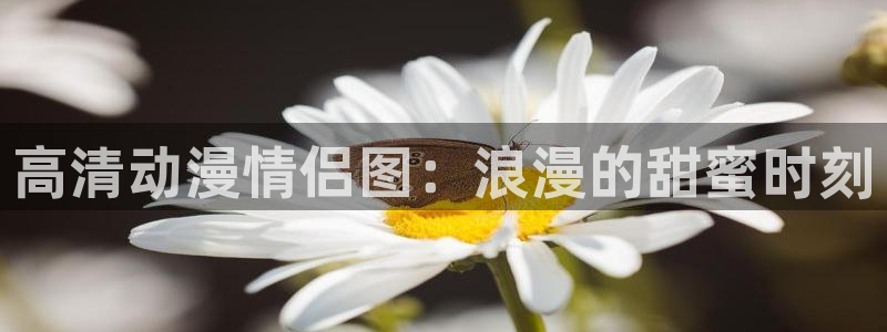 囧次元更新：高清动漫情侣图：浪漫的甜蜜时刻