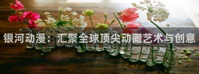 囧次元官方正版网站：银河动漫：汇聚全球顶尖动画艺术与创意