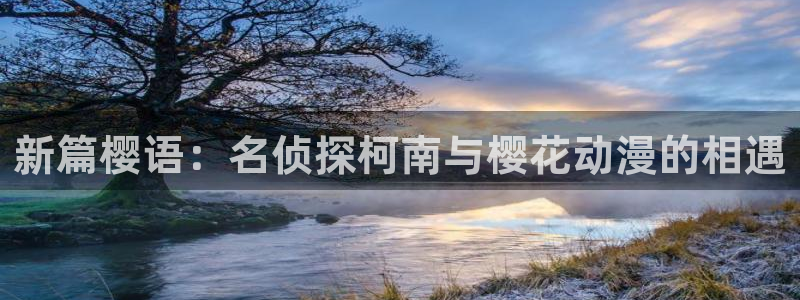 囧次元官网入口：新篇樱语：名侦探柯南与樱花动漫的相遇