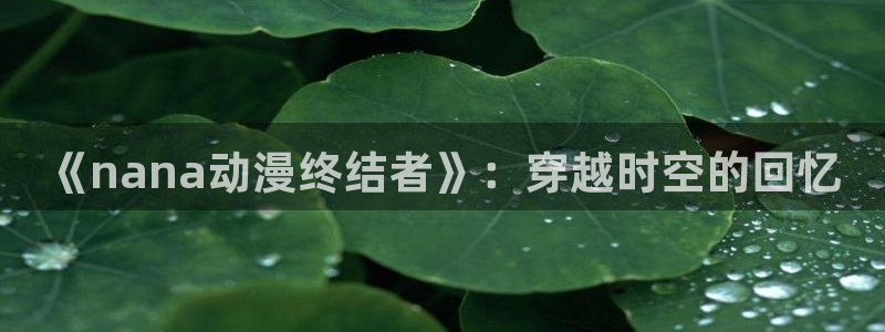 囧次元app官方正版下载：《nana动漫终结者》：穿越时空的回忆