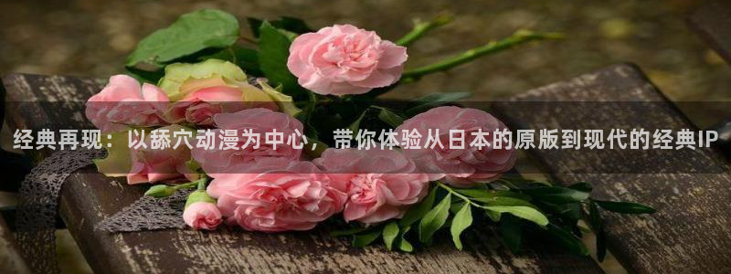 囧次元动漫官网入口观看：经典再现：以舔穴动漫为中心，带你体验从日本的原版到现代的经典IP
