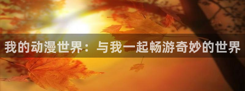 囧次元的官方网站：我的动漫世界：与我一起畅游奇妙的世界