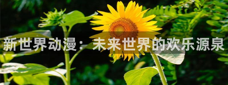 囧次元动漫app：新世界动漫：未来世界的欢乐源泉