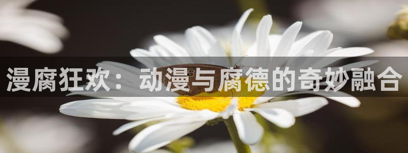 囧次元官网最新下载：漫腐狂欢：动漫与腐德的奇妙融合