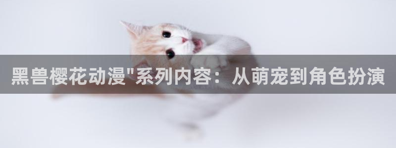 囧次元正版app下载：黑兽樱花动漫\