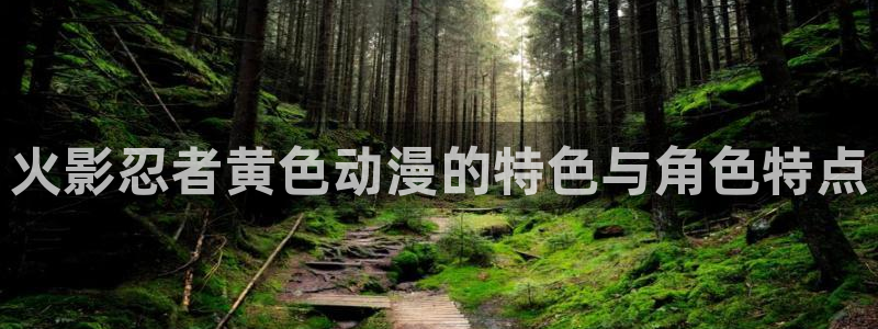 囧次元网页版进入：火影忍者黄色动漫的特色与角色特点