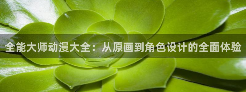 囧次元官方网站入口下载：全能大师动漫大全：从原画到角色设计的全面体验