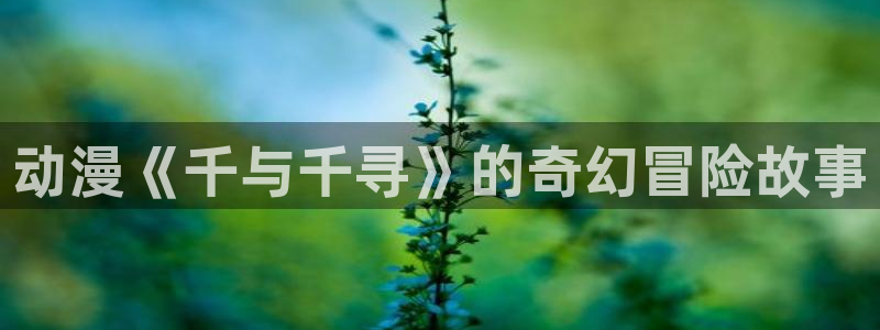囧次元官方正版app下载：动漫《千与千寻》的奇幻冒险故事